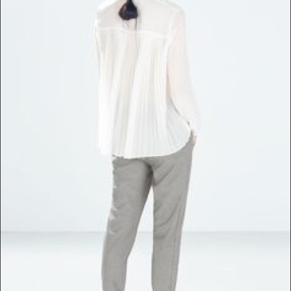 Zara Button Down with Pleated Back - Picture 2 of 4